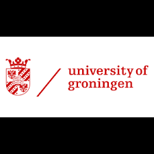 university of groningen courses fees