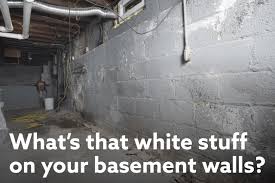 White Stuff On My Basement Walls