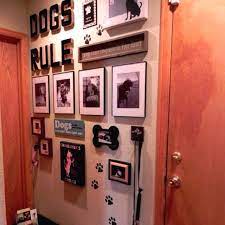 dog rooms