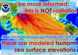 Fukushima Dai Ichi Radiation Jay Patton Online