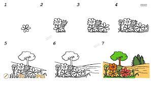 How To Draw Garden Howtodraw Pics