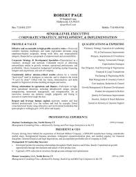Ceo Resume Example
