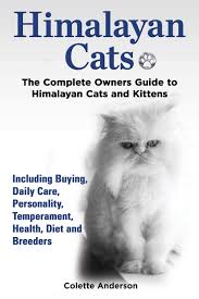 This breed is known for being people focussed and easily handled. Himalayan Cats The Complete Owners Guide To Himalayan Cats And Kittens Including Buying Daily Care Personality Temperament Health Diet And Breeders Anderson Colette 9781909820418 Amazon Com Books