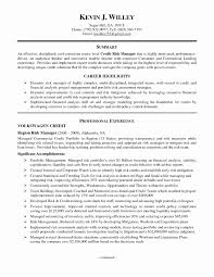 Example of Data Analyst Cover Letter 