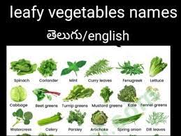 leafy vegetables names telugu and
