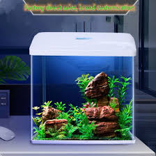 whole exquisite fish tank office