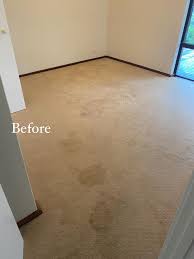 carpet cleaning mandurah get a free