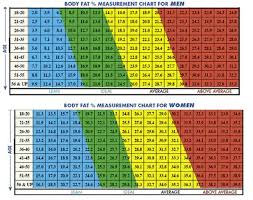 Body Fat Percentage By Gender And Age