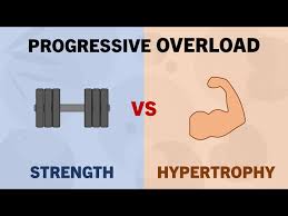 strength vs hypertrophy training