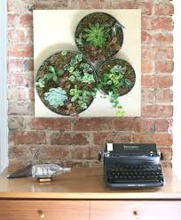 Diy Vertical Succulent Garden Ehow S