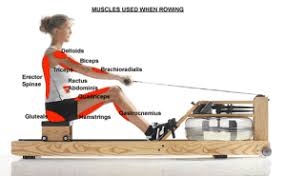 waterrower natural rowing machine with