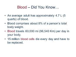 1 the river of life. The River Of Life Blood Blood Did You Know An Average Adult Has Approximately 4 7 L 5 Quarts Of Blood Blood Comprises About 8 Of A Person S Ppt Download