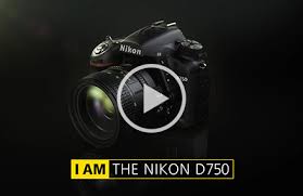 D750 Digital Slr Cameras Nikon United Arab Emirates