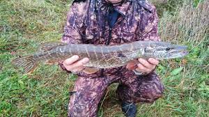 Рыбачий сезон: в поисках самой вкусной рыбы России