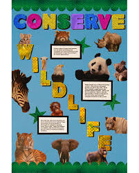 Make A Conserve Wildlife Poster School Project Poster Ideas
