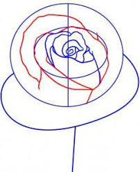 Urmareste umbrele de pe fiecare petala si deseneaza in creion fiecare detaliu. Cum De A Desena Un Trandafir Cu Un Creion