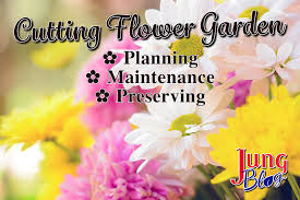 Cutting Flower Garden Jung Seed