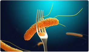 Cdc estimates salmonella bacteria cause about 1.35 million infections, 26,500 hospitalizations, and 420 deaths in the united states every year. Salmonella History
