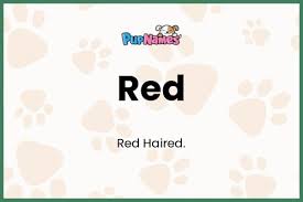 red dog name meaning pority