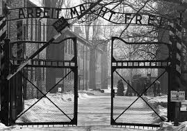 Image result for holocaust photos