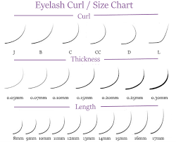 57 Unfolded Eyelash Chart