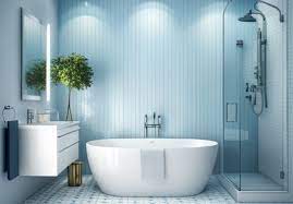 Bathroom Interior Colour Combination