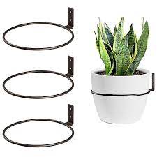 Wall Mounted Flower Pot Holder Ring