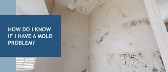 how to tell if you have a mold problem