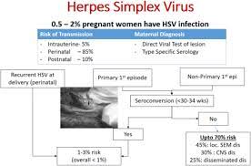 herpes in pregnancy journal of fetal
