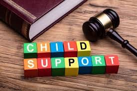 child support supposed to cover in ohio