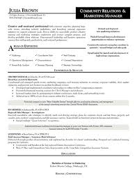 Sample Resume Professional Formats