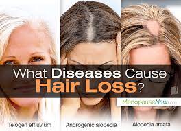 hair diseases and hair loss menopause now