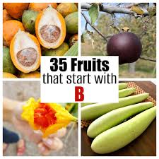 35 fruits that start with b food