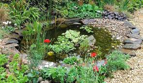 How To Build A Large Wildlife Pond