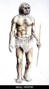Neanderthal Man Stock Photo - Alamy