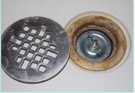 Drains To Prevent Sewage Backup