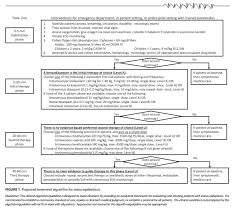 Status Epilepticus Treatment Flow Chart And Excerpts Help