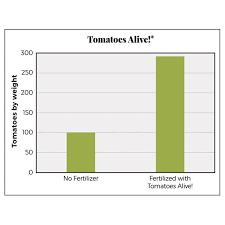 tomato plant fertilizer tomatoes