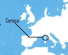 Pinguicula corsica
