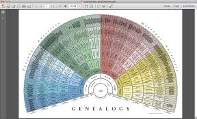 Pearls Of Great Families Pedigree And Fan Charts