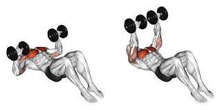 dumbbell chest workout without bench