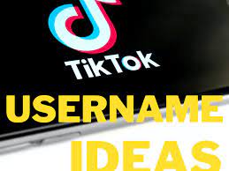 We feature one talented cosplayer for each. 200 Tiktok Username Ideas And Name Generator Turbofuture