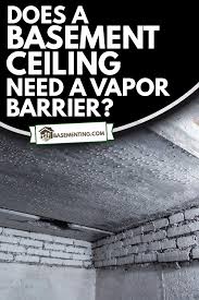 a bat ceiling need a vapor barrier