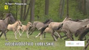 Tour de pologne 2021 trasa chełm. Tour De Pologne 2021 Etap 1 Lublin Chelm Youtube
