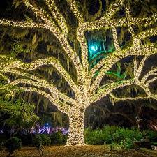 brookgreen gardens in holiday lights