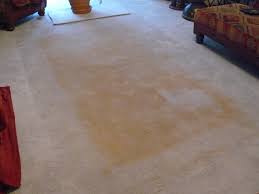 yellow stains on your carpet under an