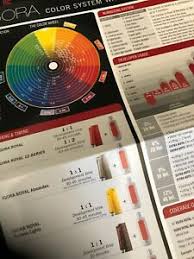 Details About Schwarzkopf Igora System Wall Chart Hair Color Chart
