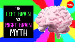 The Left Brain Right Brain Myth Is It True Now Powered