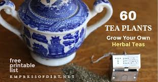 Grow For Homegrown Herbal Teas