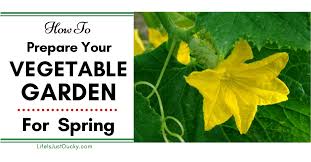 prepare your garden for spring planting
